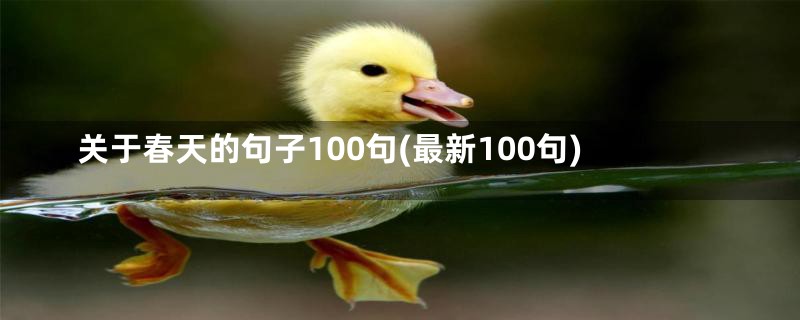 关于春天的句子100句(最新100句)