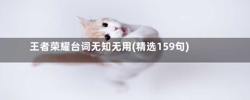 王者荣耀台词无知无用(精选159句)
