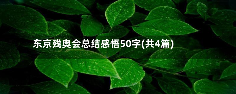 东京残奥会总结感悟50字(共4篇)